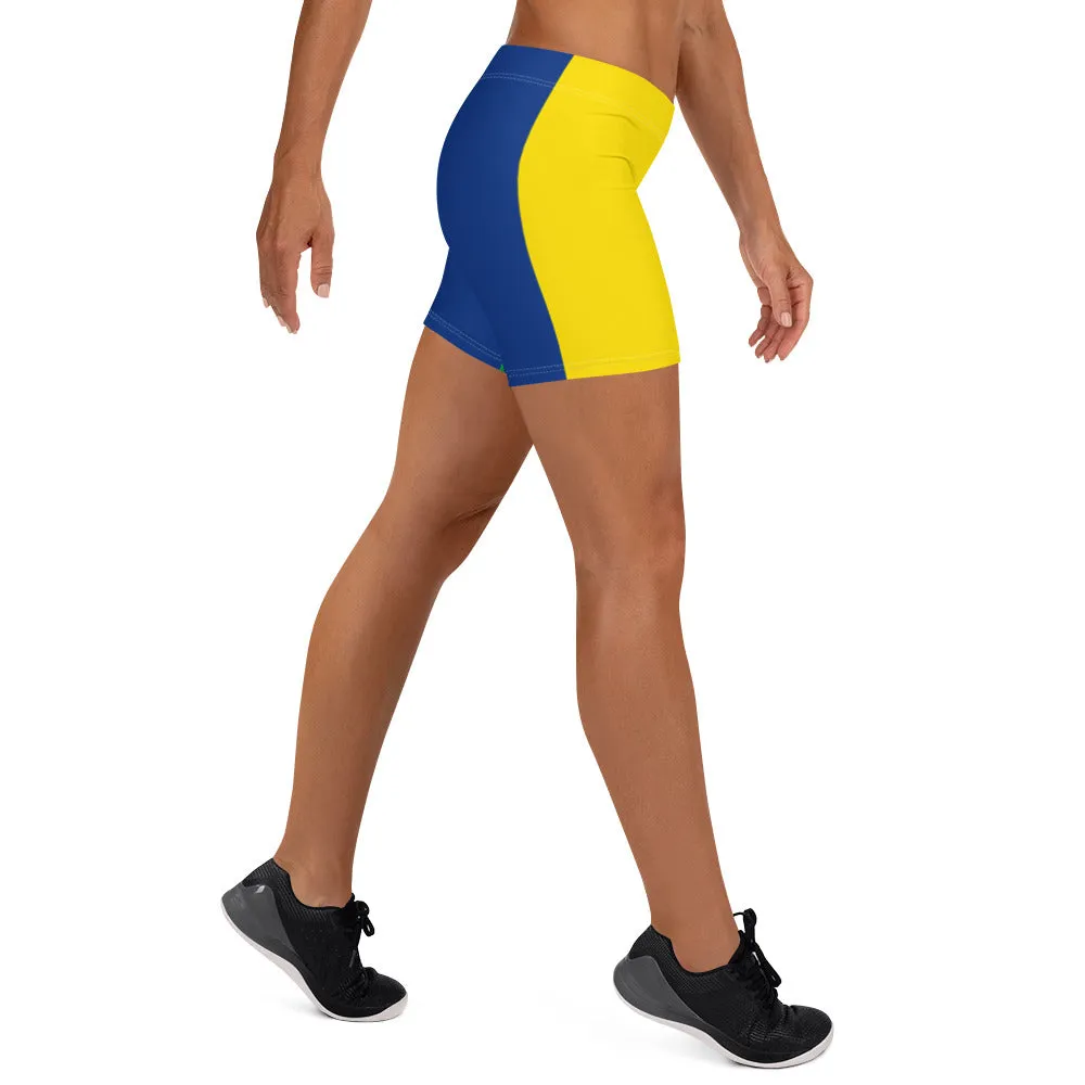 Brazil Shorts For Women / Brazilian Clothing With Brazil Flag Color