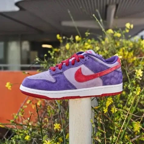 Nike Dunk Low Plum